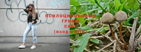 2c-b Алзамай