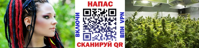 где продают Сортавала Марихуана планчик